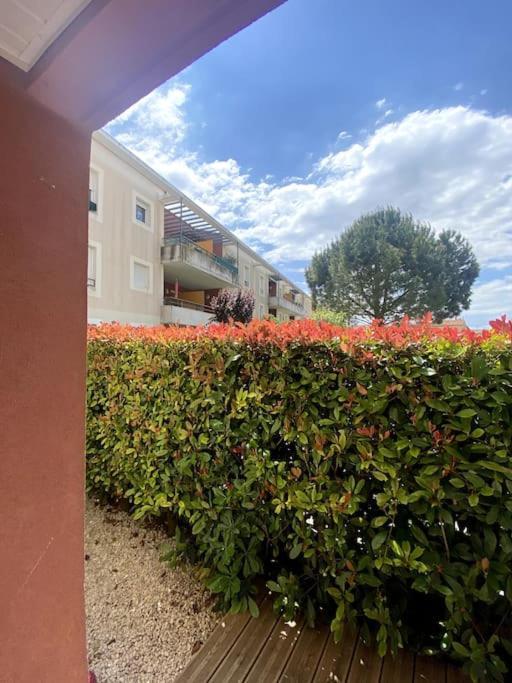Lou Cameou Marseillan (Herault) Esterno foto