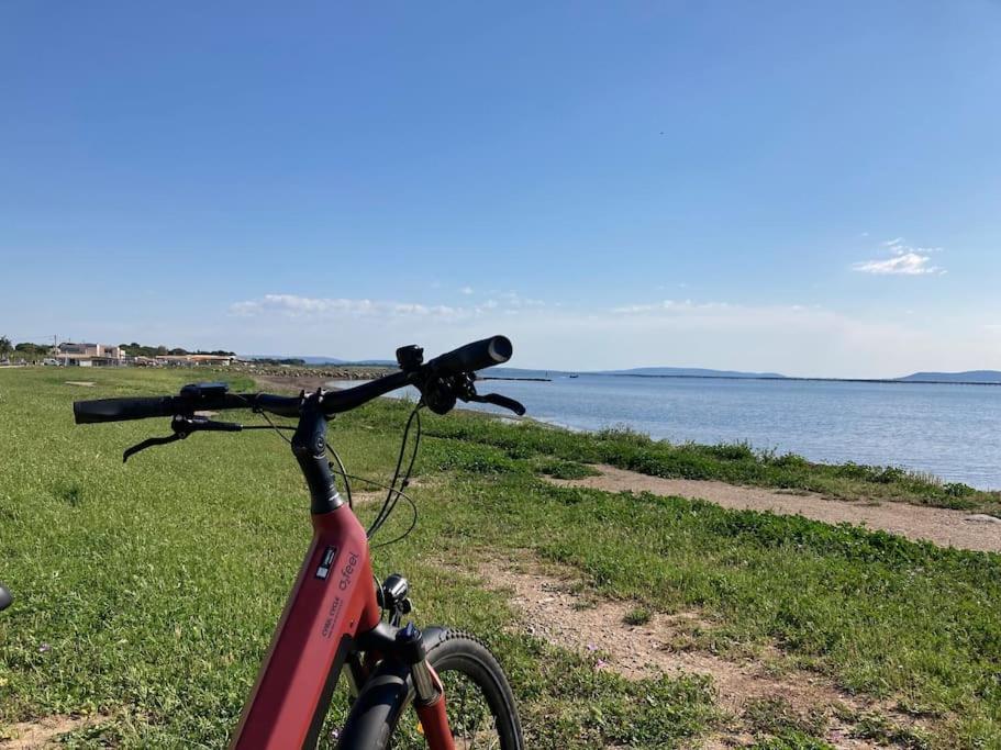 Lou Cameou Marseillan (Herault) Esterno foto
